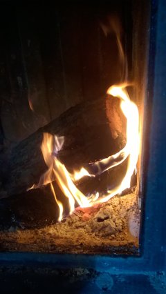 WP_20180304_09_55_06_Pro.jpg