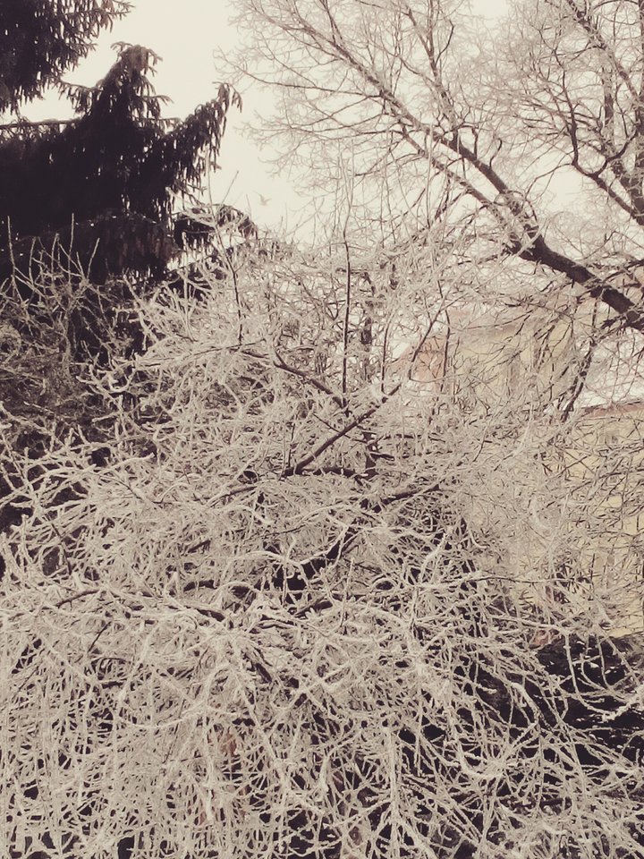 IMG_20180304_123942.jpg - ParaGdansk82