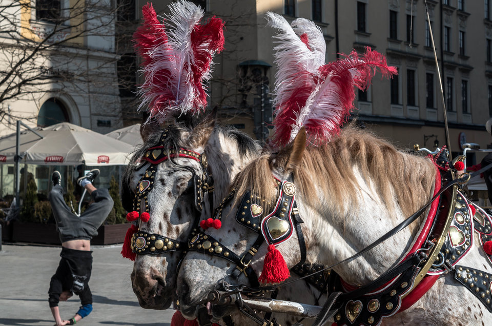 Taka sytuacja - mystic