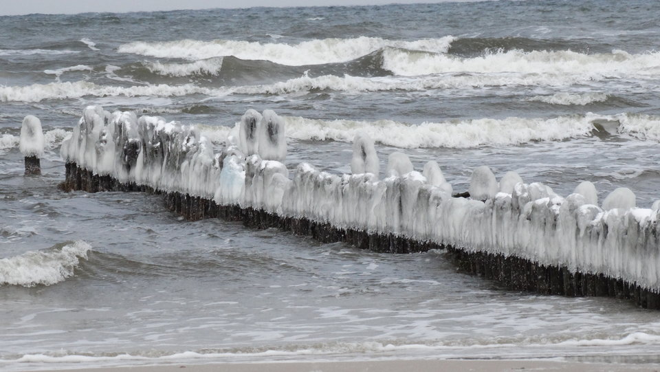 DSC02798.JPG - dex72