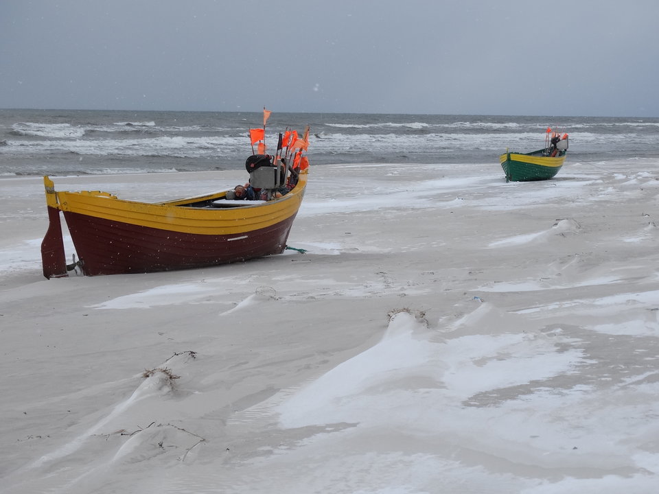 DSC02779.JPG - dex72