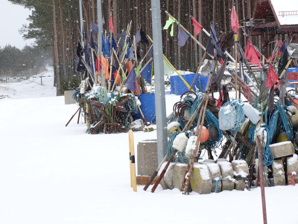 DSC02778.JPG - dex72