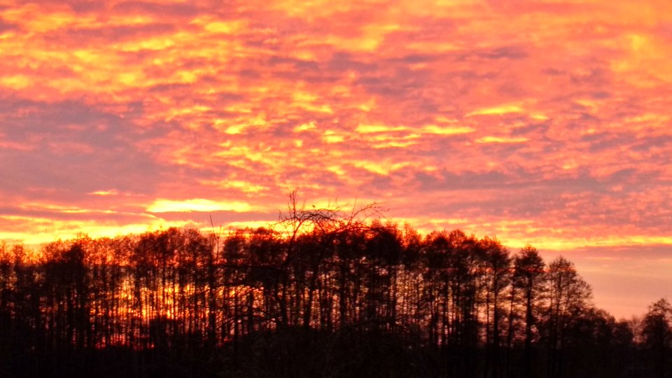 IMG_20171031_160950167_HDR.jpg - uleglyBI44_MMaz