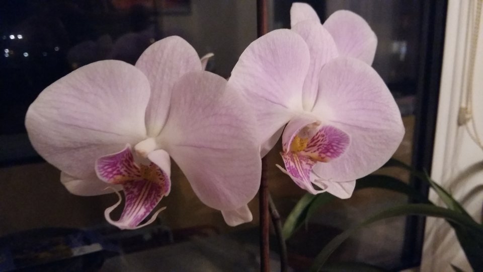 Dla was drogie Panie - Nikt_taki