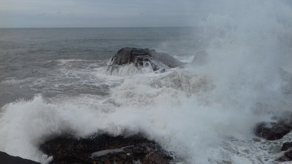 20180307_132135.jpg - Nexxuss