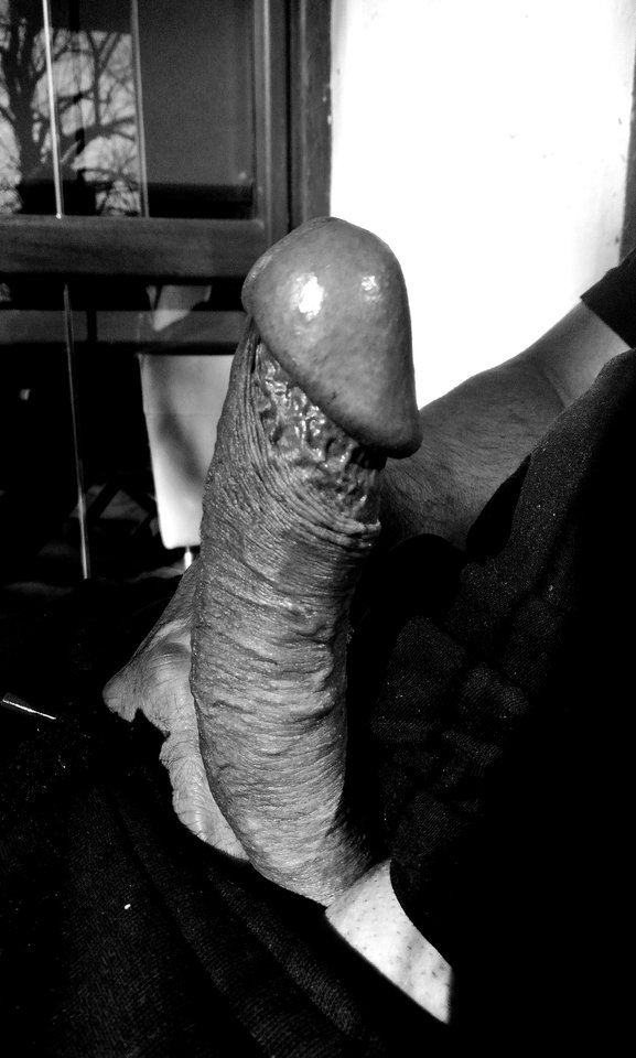 IMG_20180311_135847.jpg - RzeznikzToruniaiJegoSunia