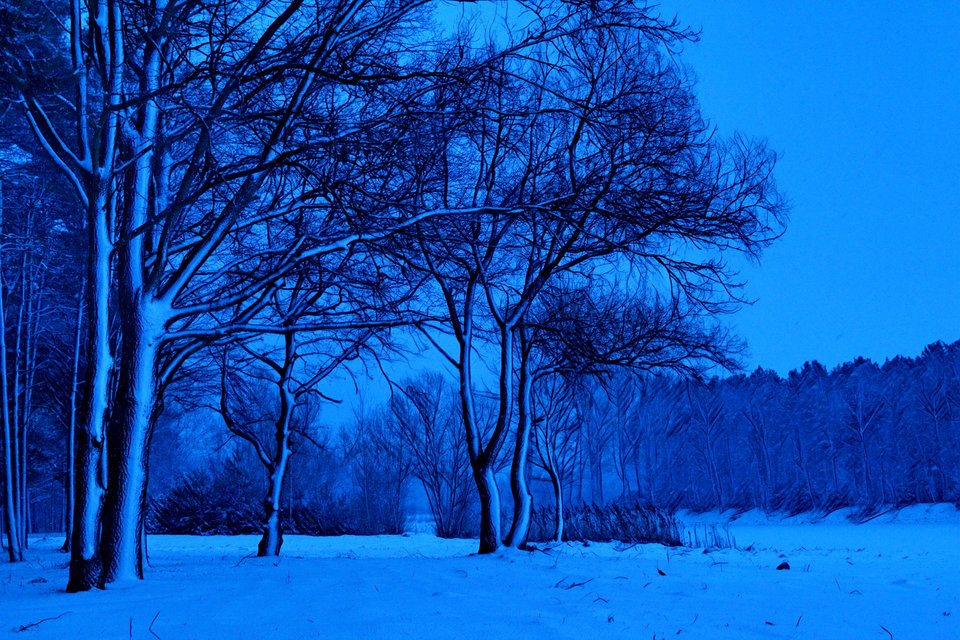 hiver.jpg - marquiz