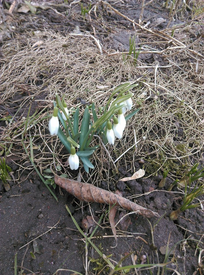 received_1890894264314577.jpeg - wirtualna11