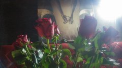 zapraszamy do klubu LaVa!