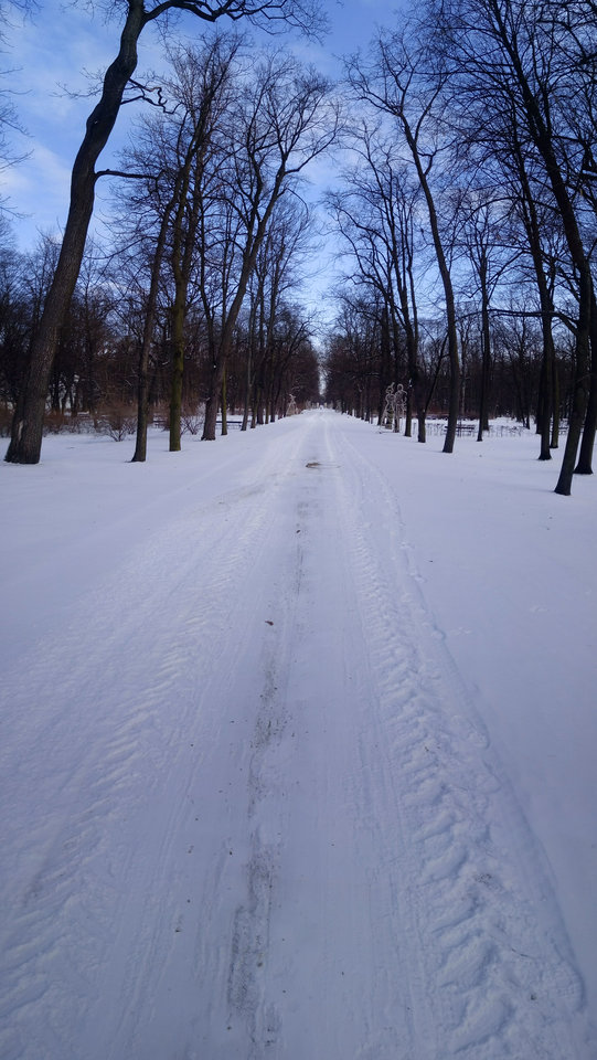 20180317_080213_Pano.jpg - Tomecki___83