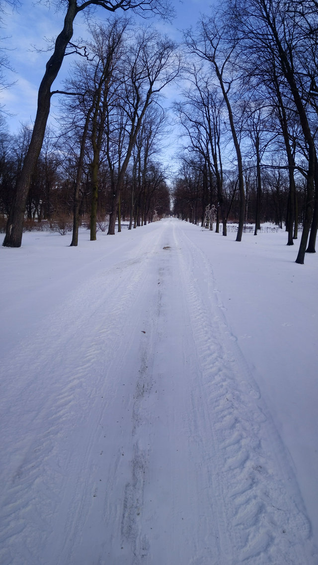 Tomecki___83