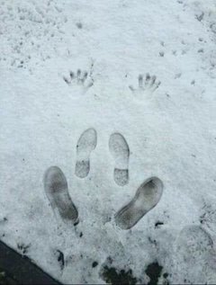 zganij co to za pozycja.jpg