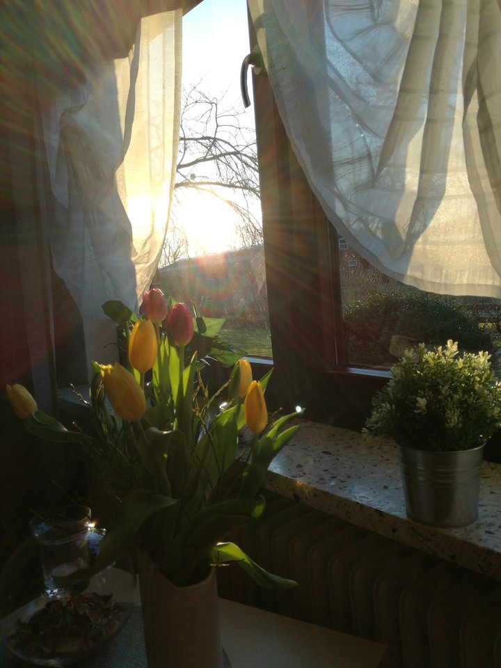 15213541770801053047058.jpg - Eurydyka2956