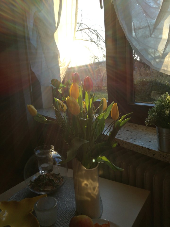 152135425908073152311.jpg - Eurydyka2956