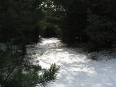 Droga do obfitości...