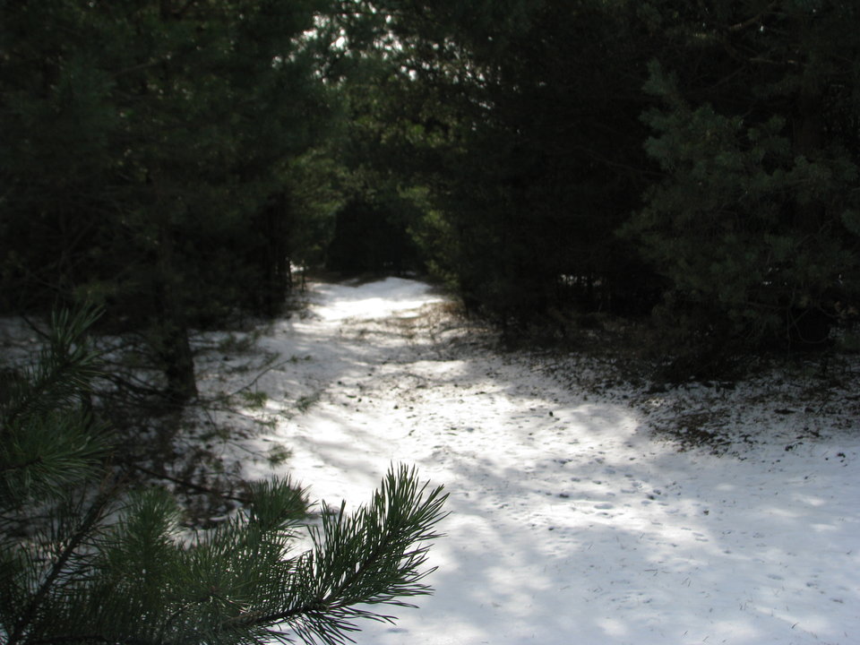 Droga do obfitości... - ciekawiswiata5