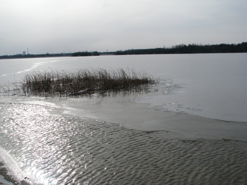 IMG_0040.JPG - ciekawiswiata5