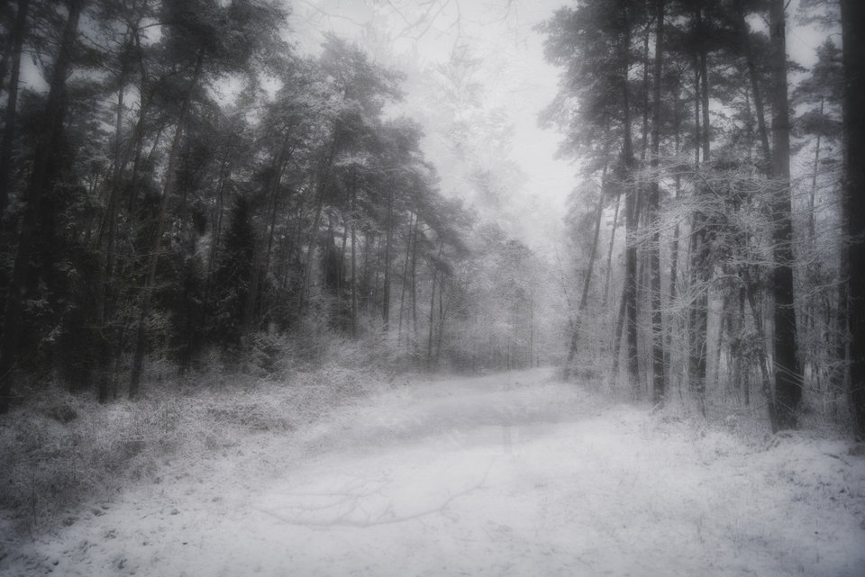 luDSC07423.jpeg - marquiz