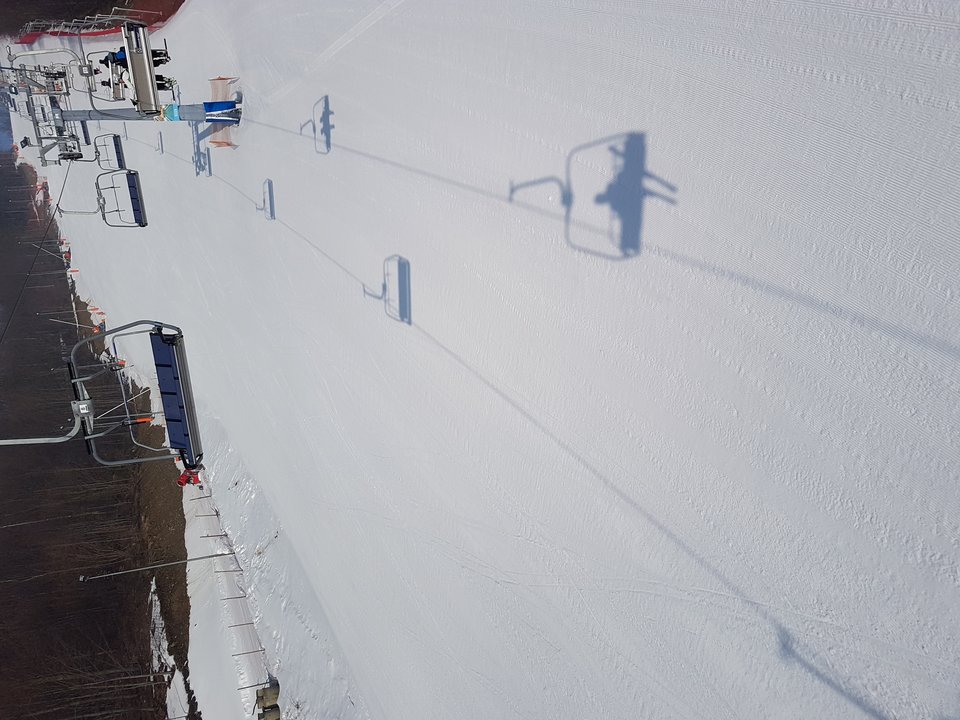 2018-03-24 08.15.16.jpg - stihlms230