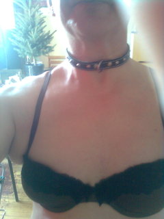 P cwelik zdjęcie w staniczku i z obrożą na szyi 25.03.2018 g.10.59.jpg