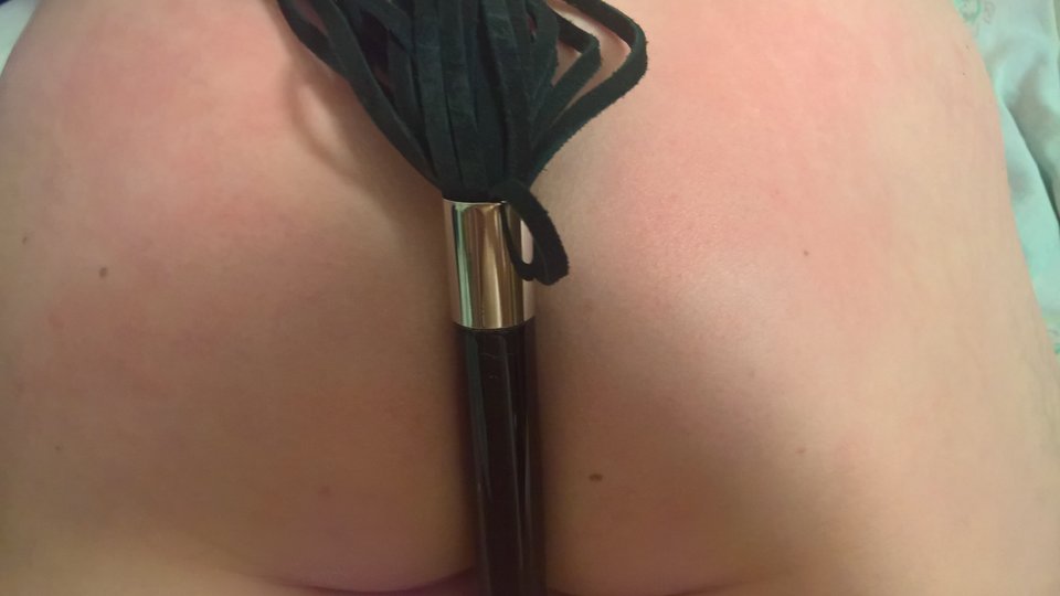 WP_20180313_00_04_15_Rich.jpg - PanSu