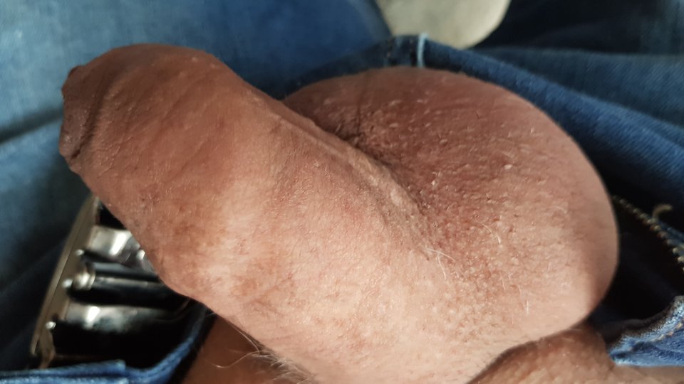 20180327_080654.jpg - perversjanin