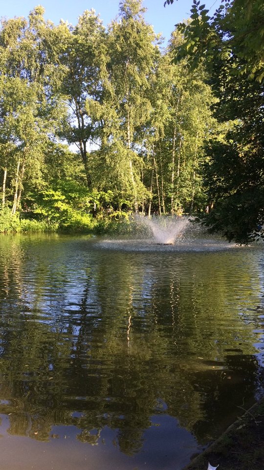 85A8B87C-A2A1-45CE-A150-8F85B08C952A.jpeg - pawelsolt