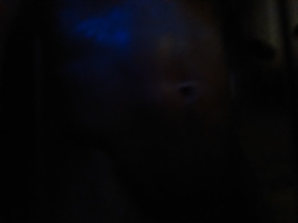 1522258411338.jpg - nokha5