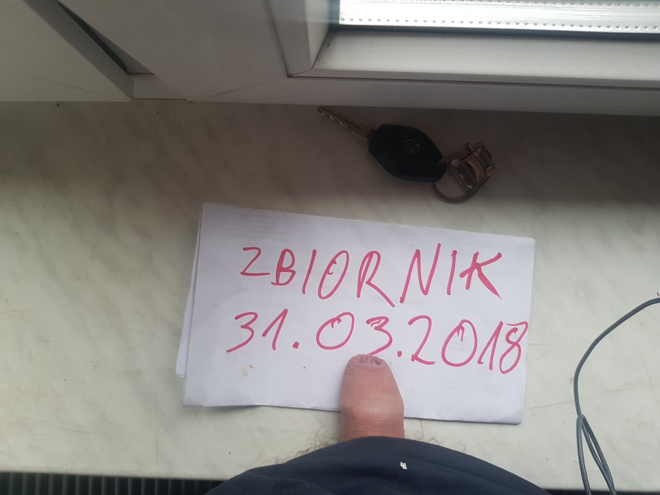 IMG_20180331_0733115717103292346541649.jpg - pedros30