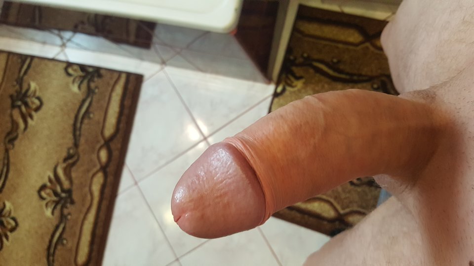 1522487101513403826236.jpg - siemka213