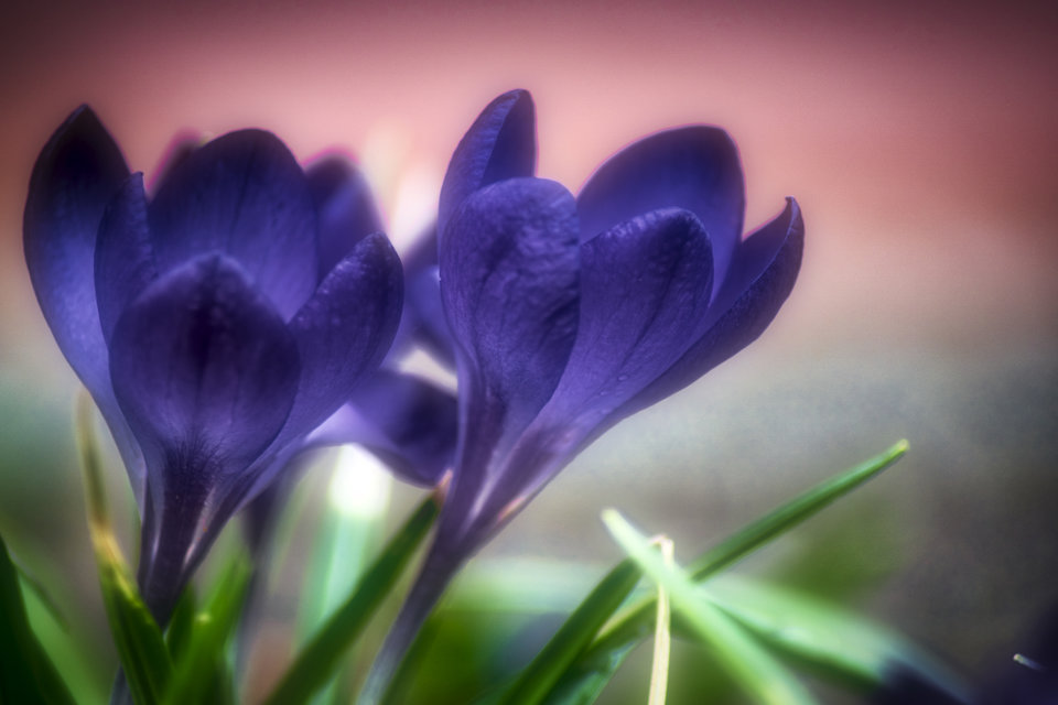 _DSC4327.jpeg - marquiz