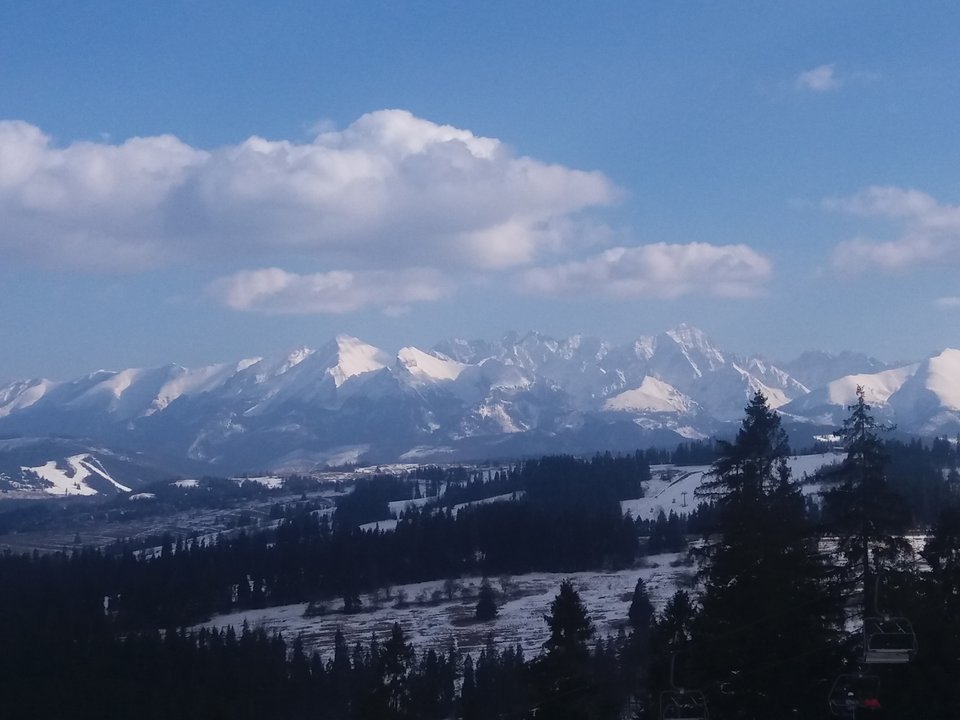 20180402_161030.jpg - tropiciel123