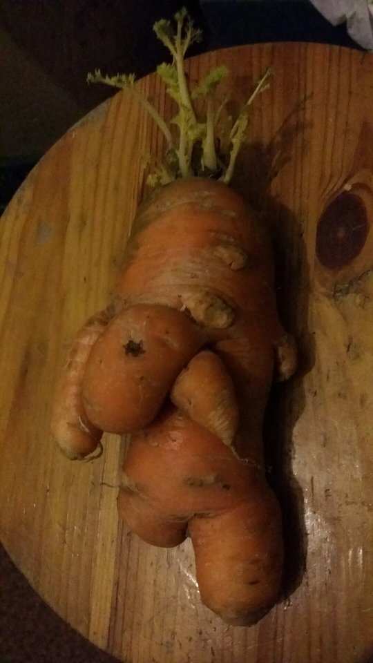 20180402_202942.jpg - pieszimowy