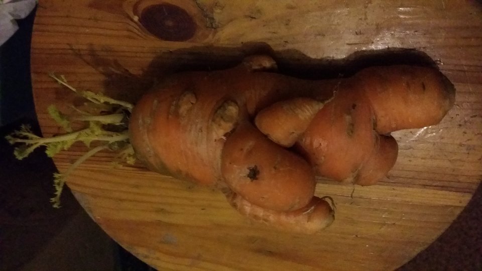 20180402_200222.jpg - pieszimowy