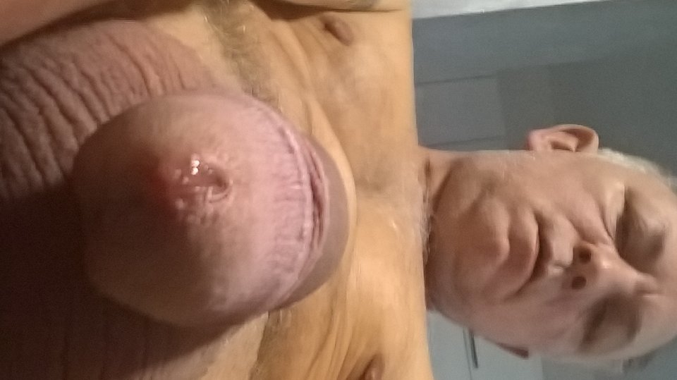 WP_20180405_07_26_52_Pro.jpg - Bisexslave
