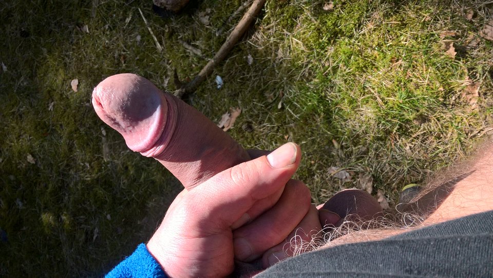 WP_20180406_13_14_14_Pro.jpg - Bisexslave
