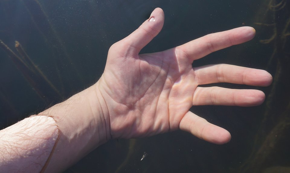 T.12.JPG - MAK_Demon