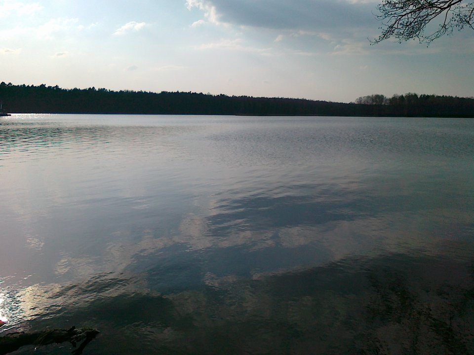 080420182446.jpg - randalf69