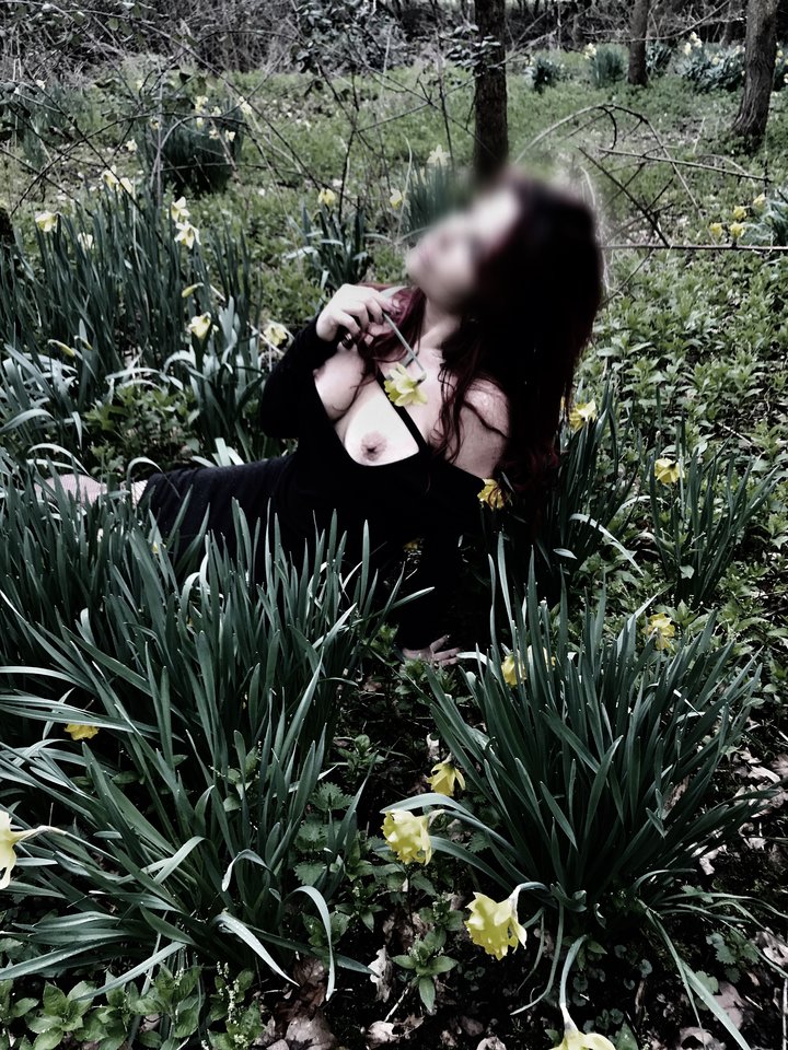 IMG_4194.JPG - Simonski