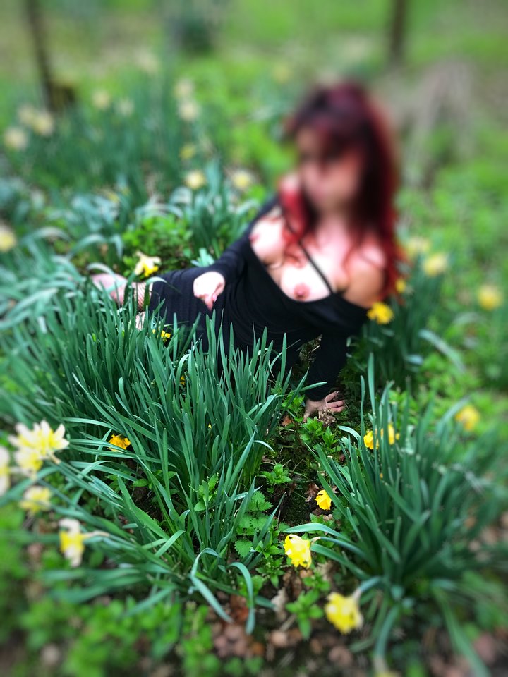 IMG_4195.JPG - Simonski