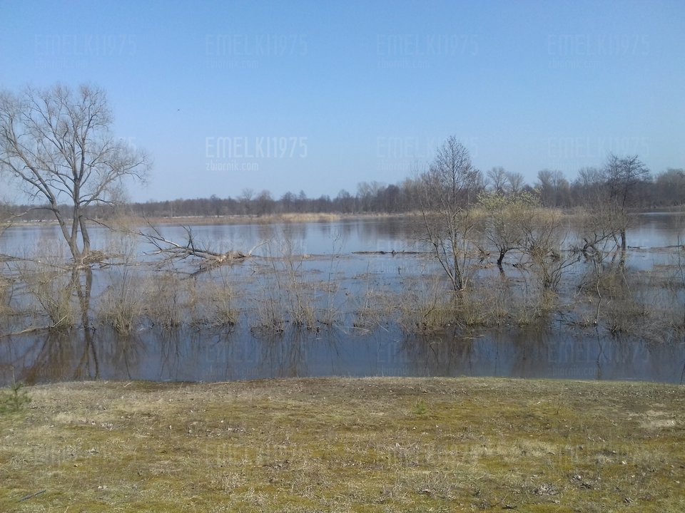 Bug w Kuligowie. - emelki1975