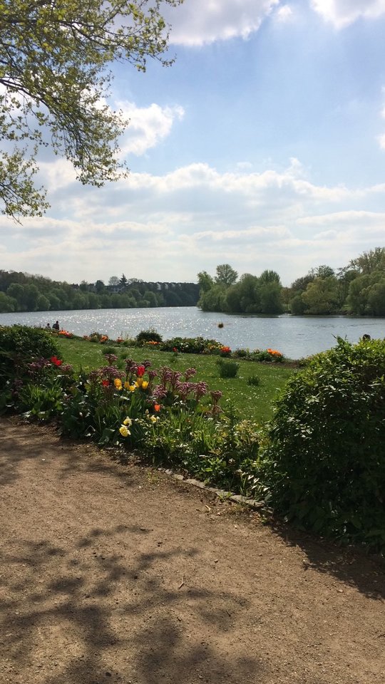 0F20DE7B-6708-484D-BABD-985B6CDC4607.jpeg - pawelsolt