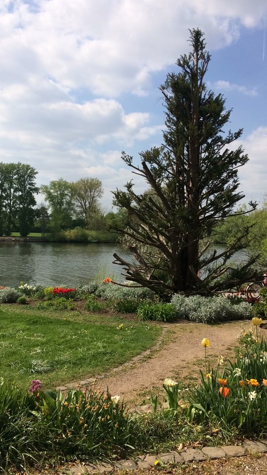 17D4C237-924A-41AD-9916-BC9A3C3A13BE.jpeg - pawelsolt