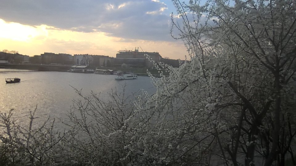 WP_20180412_17_57_21_Pro_LI.jpg - KrakSexiMen