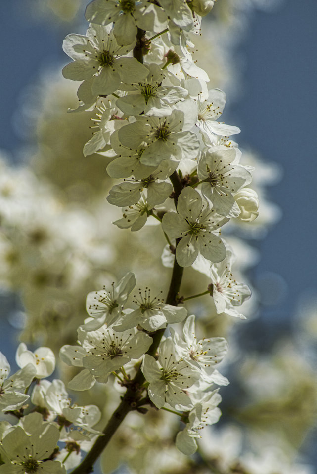 _DSC5356.jpeg - marquiz