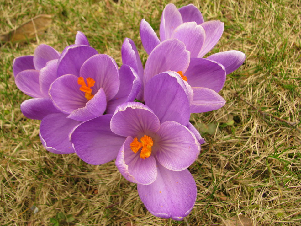 Wiosna 2018 - ciekawiswiata5