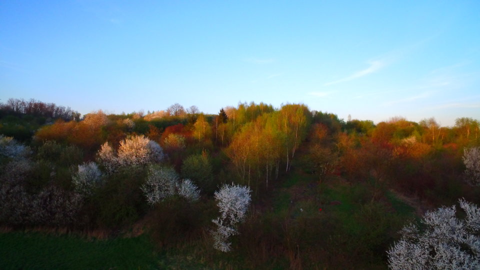 DJI_0744.JPG - FoKam431