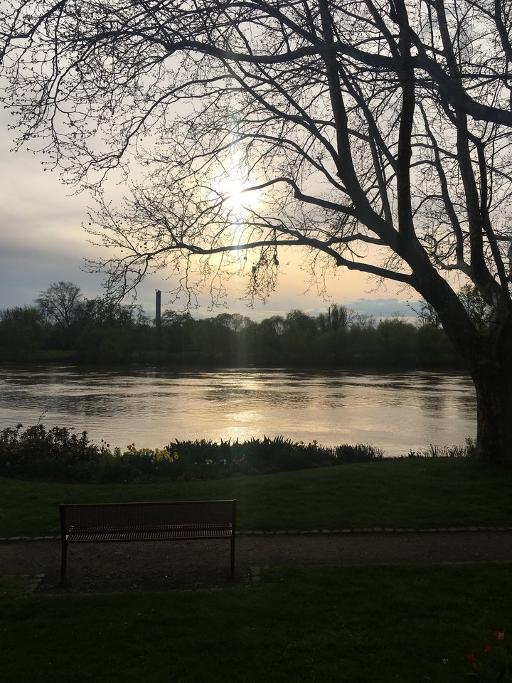 DF42D1A3-0421-42ED-81CA-9FBFF8B2A0A7.jpeg - pawelsolt