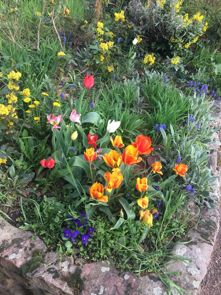 140B1788-B525-40B9-8939-8B058C0D3861.jpeg - pawelsolt