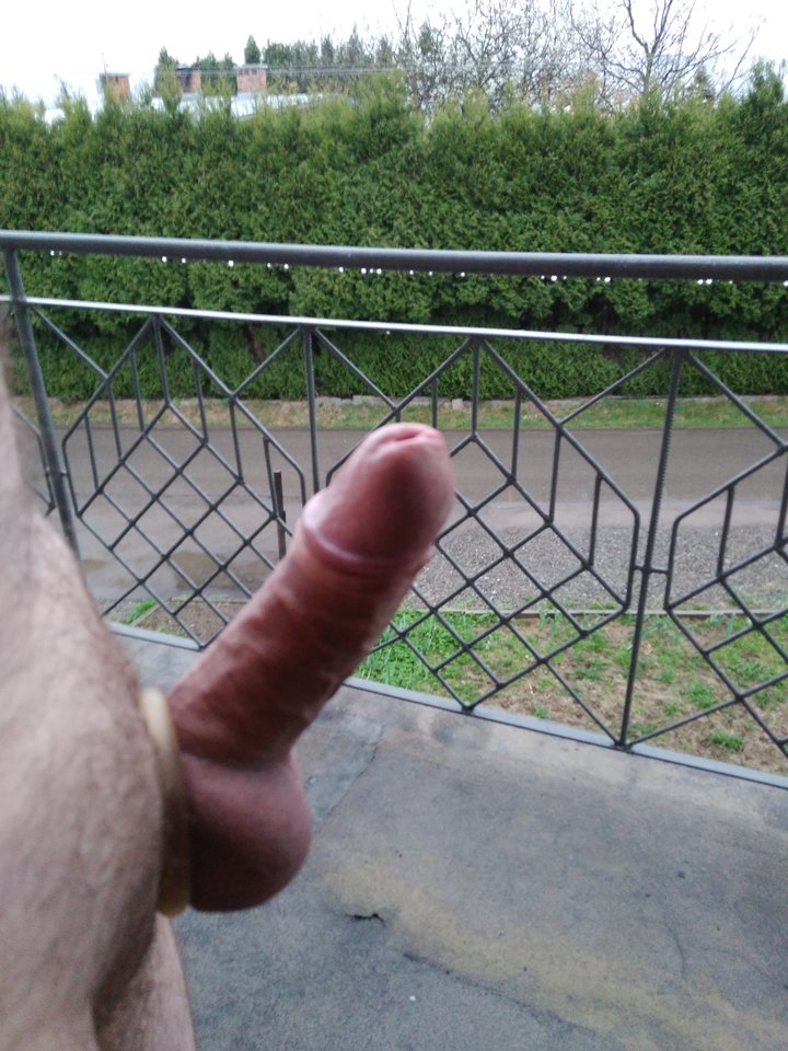 IMG_20180416_065333.jpg - xxxMarcoxxx